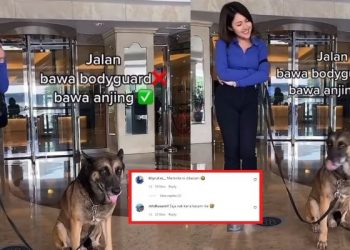 [VIDEO] Kongsi Video Dengan Anjing, Baby Shima Memang Sengaja Minta Dikecam Eh?