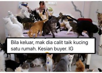 Dihalau Ejen Hartanah, Ibu Artis Top Calit Tahi Kucing Seluruh Rumah Sewa – “Anak Buat Bodoh Je!”