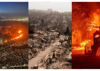 Kebakaran Di Los Angeles Lumpuhkan Industri Hiburan Hollywood