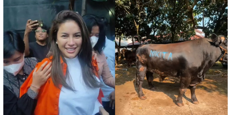 [V] Walau Di Penjara, Nikita Mirzani Tetap Laksanakan Korban 6 Ekor Lembu