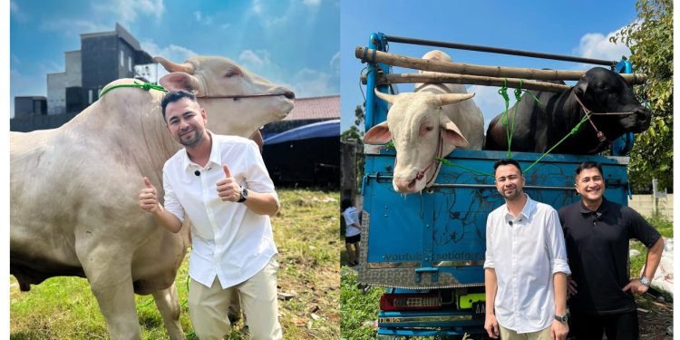 Raffi Ahmad & Nagita Slavina Sumbang 22 Lembu, 90 Kambing Sempena Aidiladha