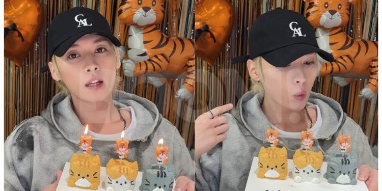 Lee Know derma RM587,000 bantu haiwan, pesakit kronik