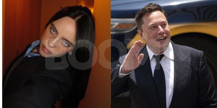 Elon Mask Balas Sindirian Billie Eilish